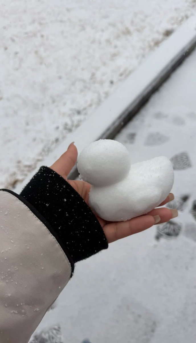 Chase your dreams like snowflakes in the winter wind! ☃️💨