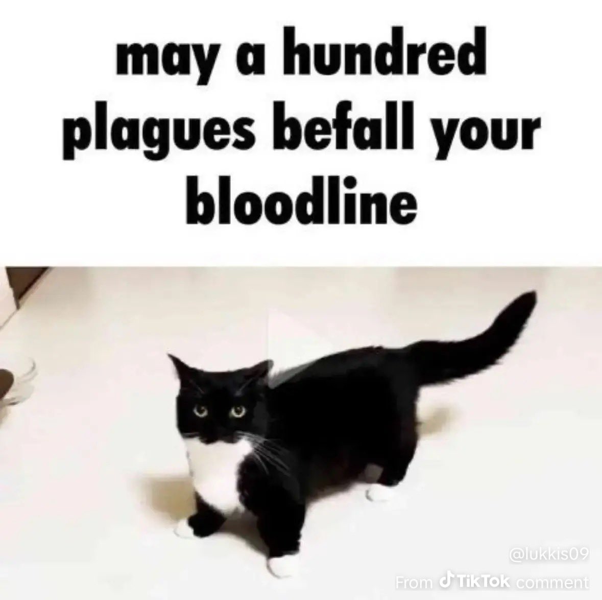 Deeply unserious football team and business enterprise.