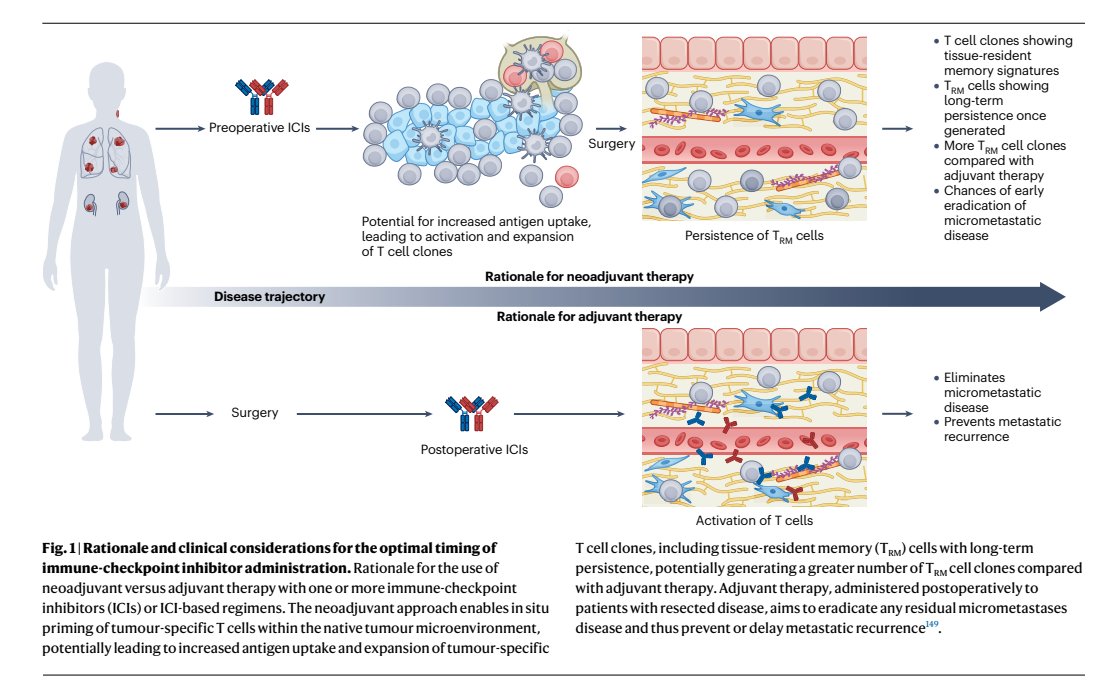 Sara Coca Membribes tweet media