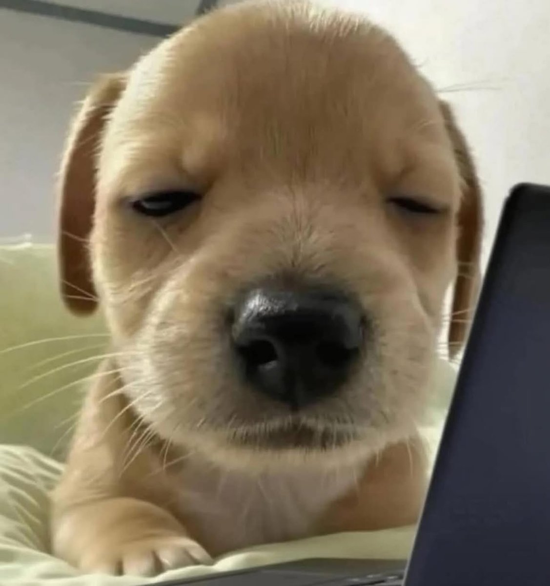 caindo a ficha que tenho minhas colegas do trabalho no instagram e postei um monte de atrocidades nesse carnaval