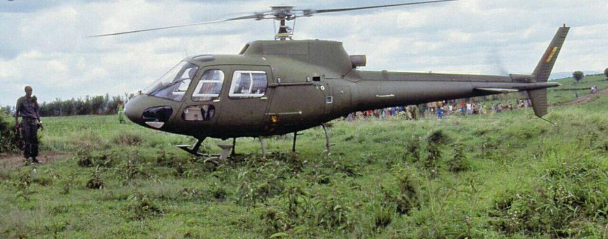 Hammer Of War tweet media