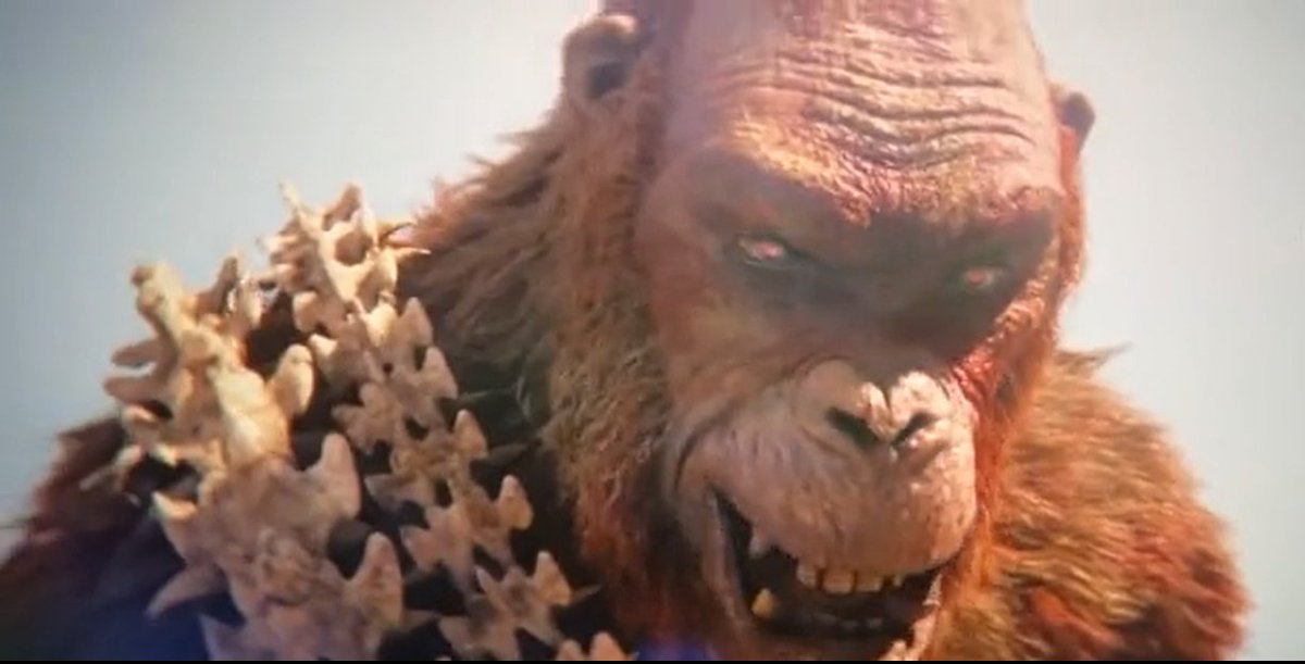 gorillageek27 (ape fan) tweet media