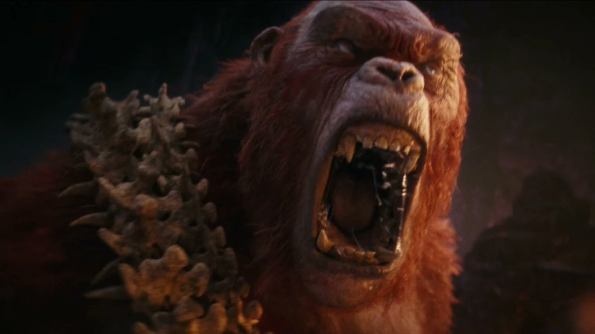 gorillageek27 (ape fan) tweet media