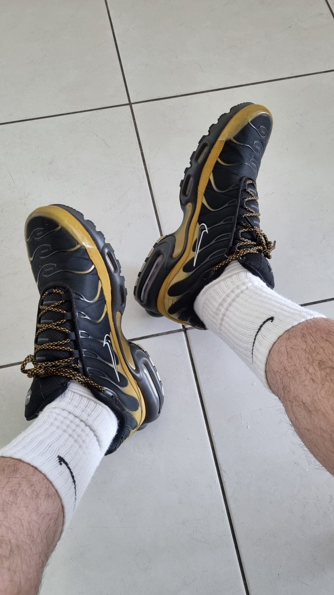 master maximus bsb tweet media