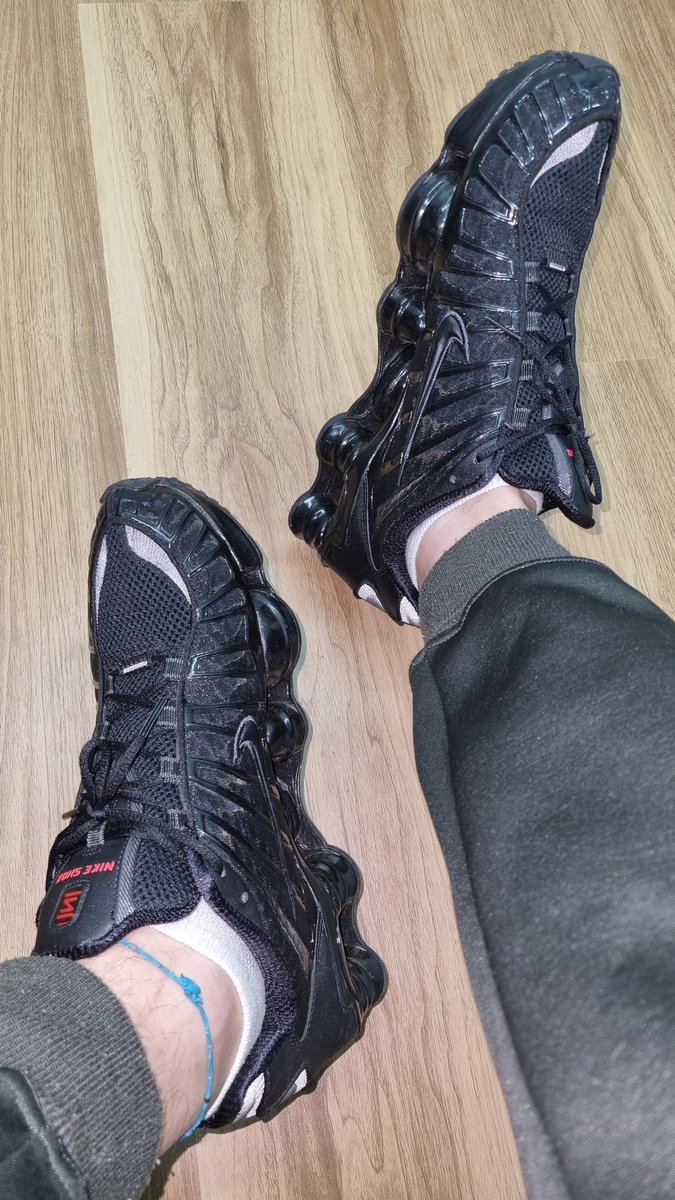 master maximus bsb tweet media