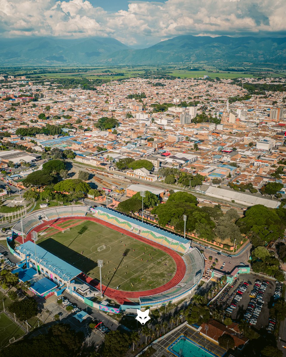 📍Locación: 𝐋𝐚 𝐠𝐮𝐚𝐫𝐢𝐝𝐚 𝐝𝐞𝐥 𝐙𝐨𝐫𝐫𝐨🦊🌴

#PalmiraXelAscenso
