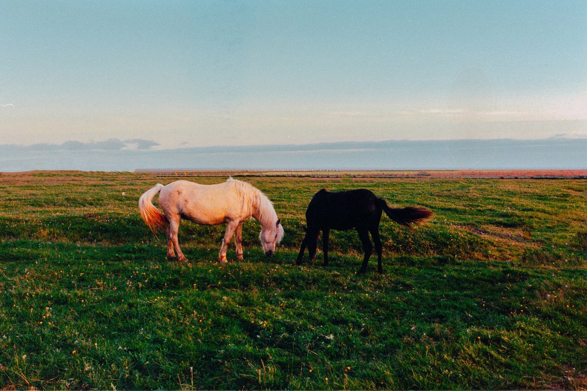 Eamon 🌃 tweet media