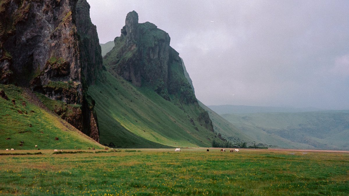 Eamon 🌃 tweet media