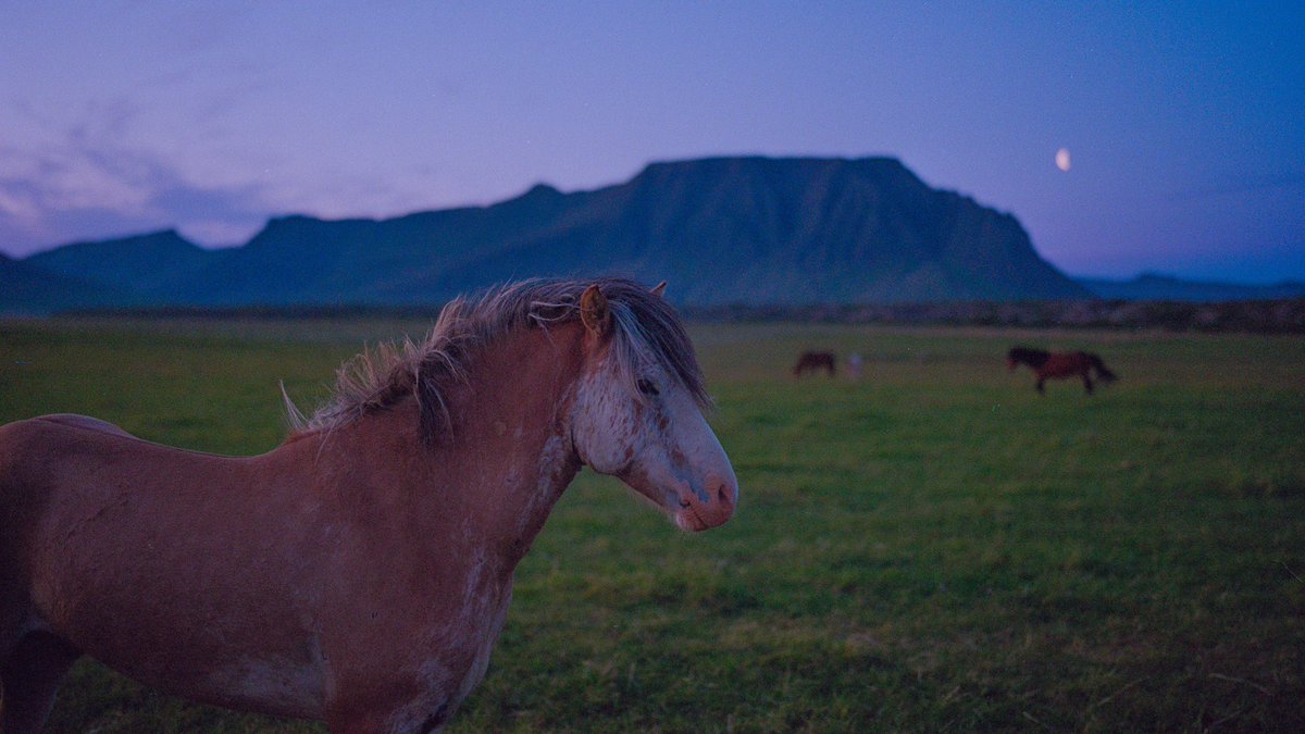 Eamon 🌃 tweet media