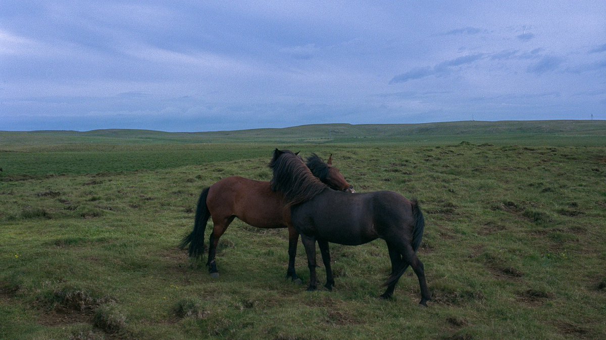 Eamon 🌃 tweet media