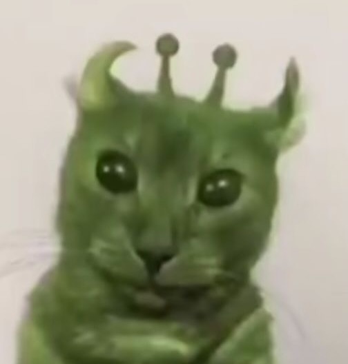 Punch Cat (@punchingcat) on Twitter photo 