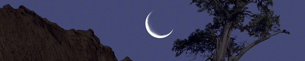 liamsi.base.eth tweet media