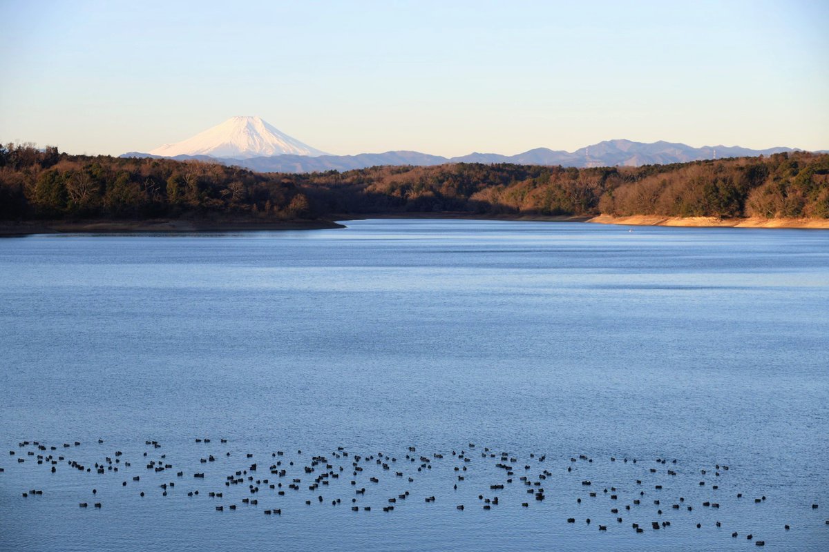 いいトコロ20260219
おはようございます。
晴れの朝をありがとう。
素敵な一日を。

#イマソラ #狭山湖
#富士山 #青空 #鴨 #大木
#あの日あの時所沢 #天晴れ
#来てくだ埼玉 #朝活 #散歩
#写真好きな人と繋がりたい
#トコろんと繋がる今日の空
#むなぞーと繋がる今日の空
#世莉奈さんと繋がる今日の空