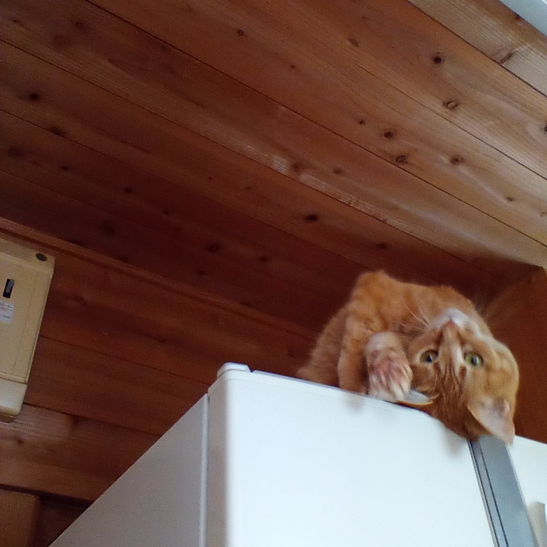 おはようございます。