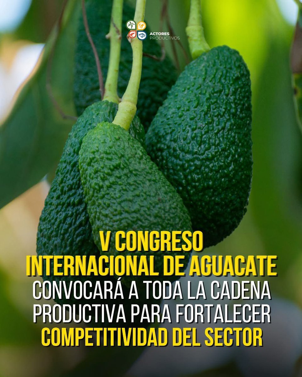 Actores Productivos tweet media