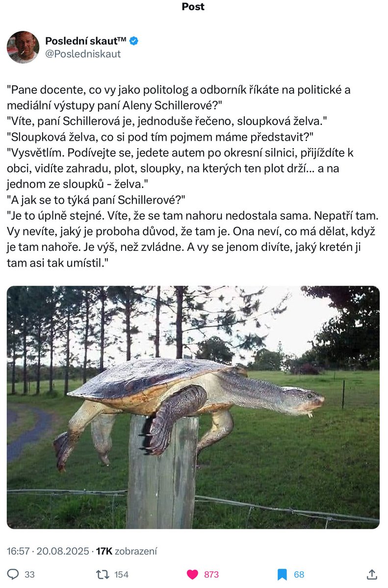 <a href="/alenaschillerov/">Alena Schillerová</a> Když čtu takovou hovadinu, vždycky se mi vybaví ta sloupková želva.