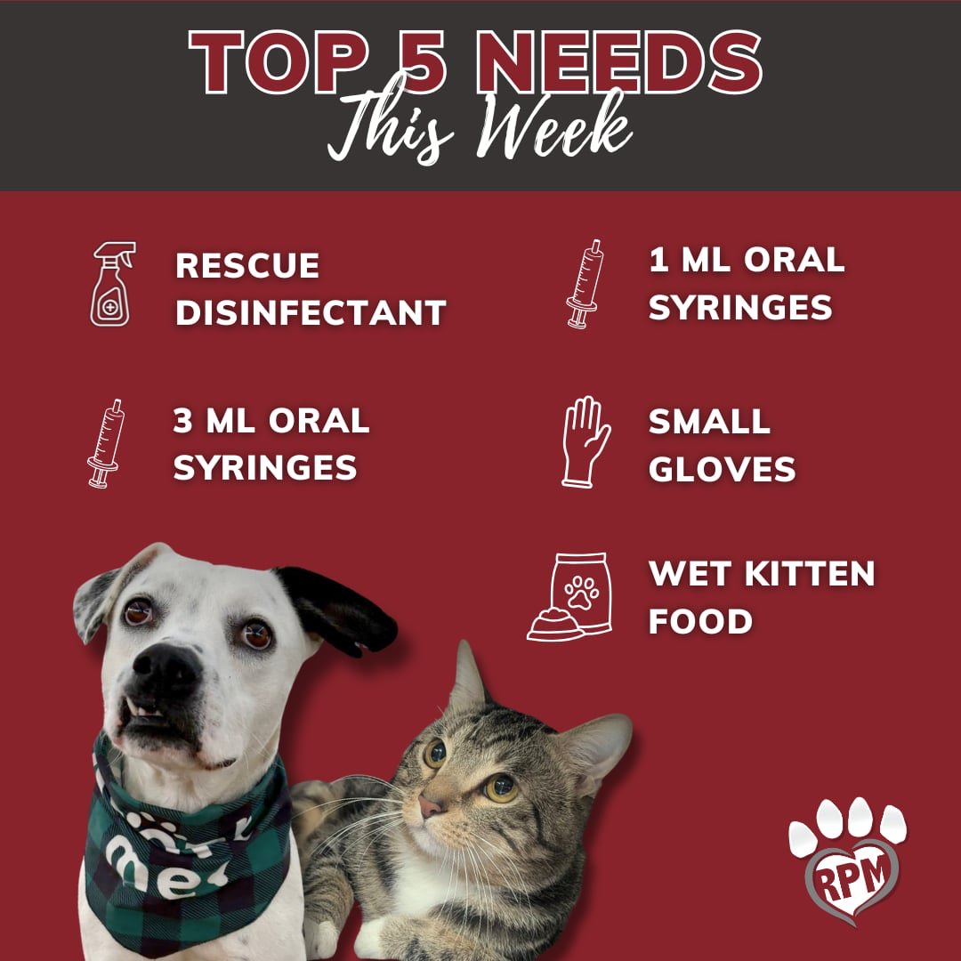 RescuedPetsMovement tweet media