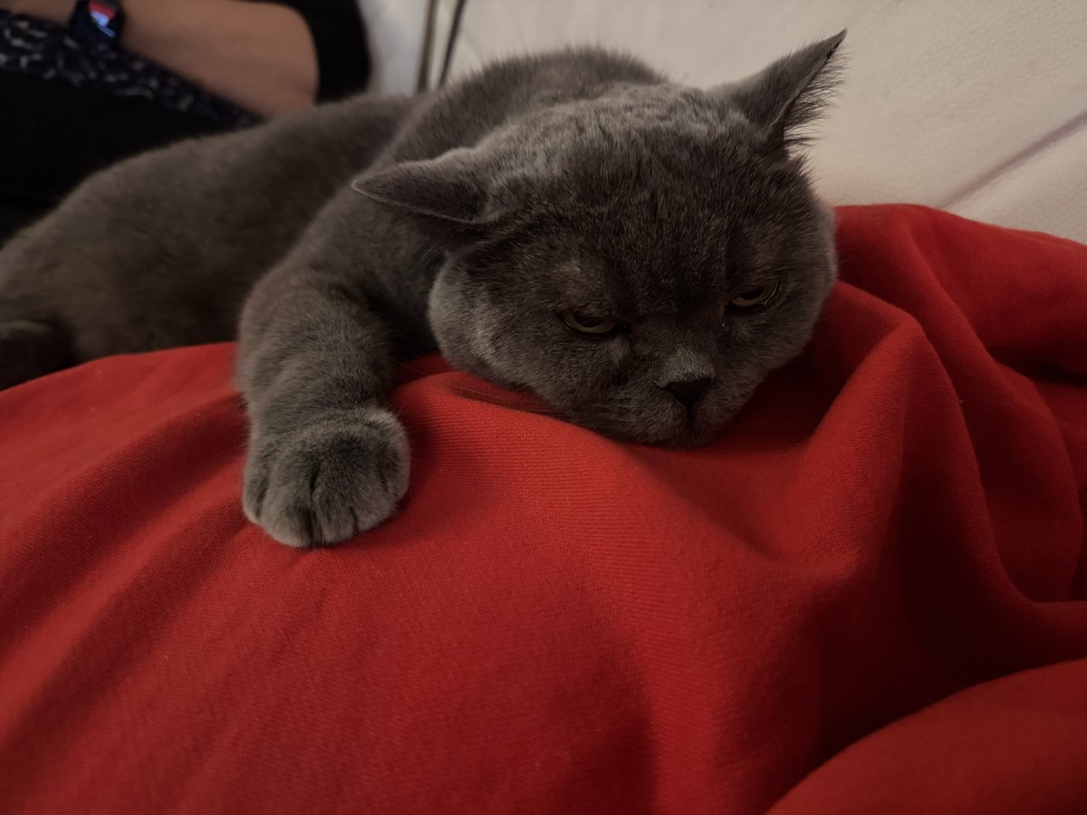 Dolly and Tali tweet media