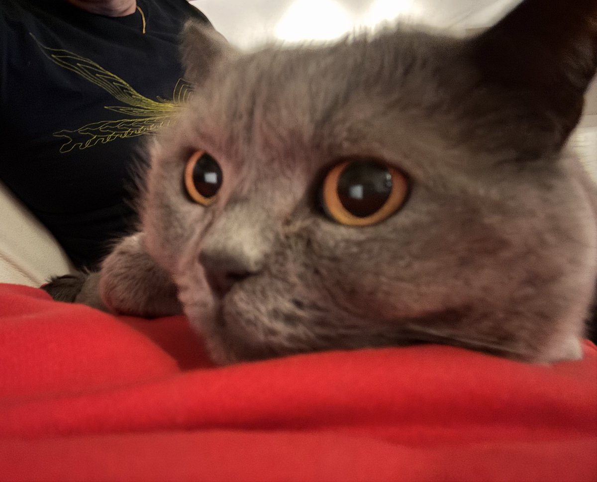 Dolly and Tali tweet media