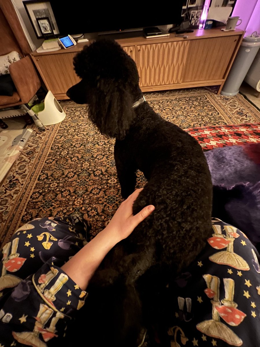 запеканка хардкорова tweet media