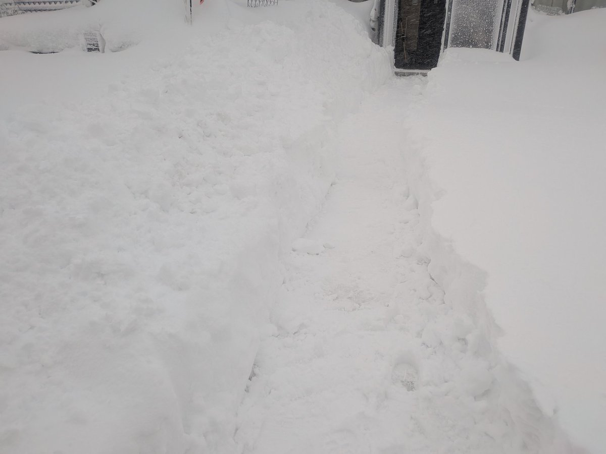 おはようございます〜
ご無沙汰です
咳はまだ治りきらず…
今季最強の暴風雪です
絶望的な膝丈積雪
皆さんのところは春？
ゆるふぁい〜(つω・)ノ