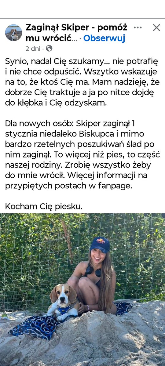 Uwaga! Może ktoś widział tego psa? Poślijmy w świat.