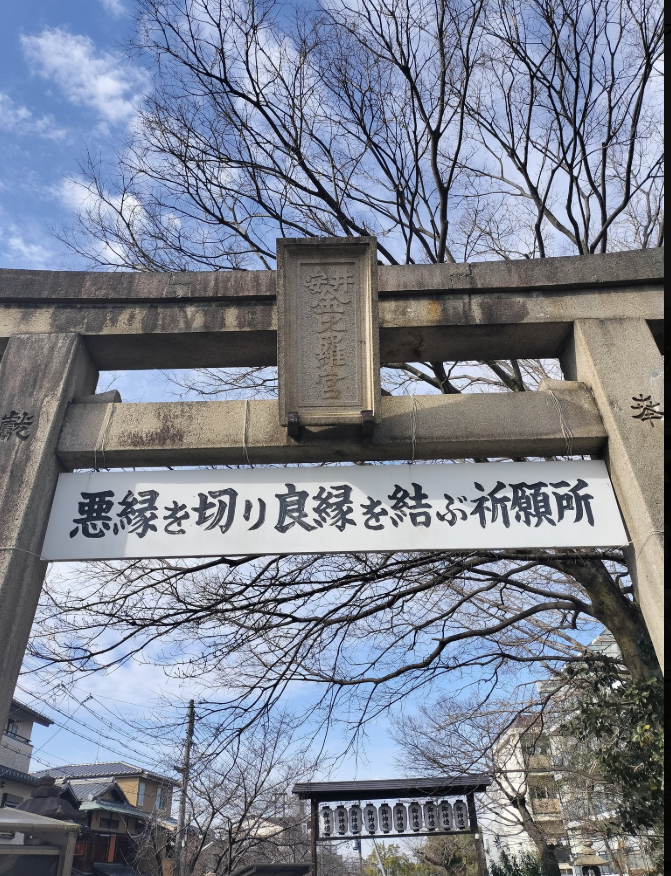 アオ【白兎霊視占い師】 tweet media