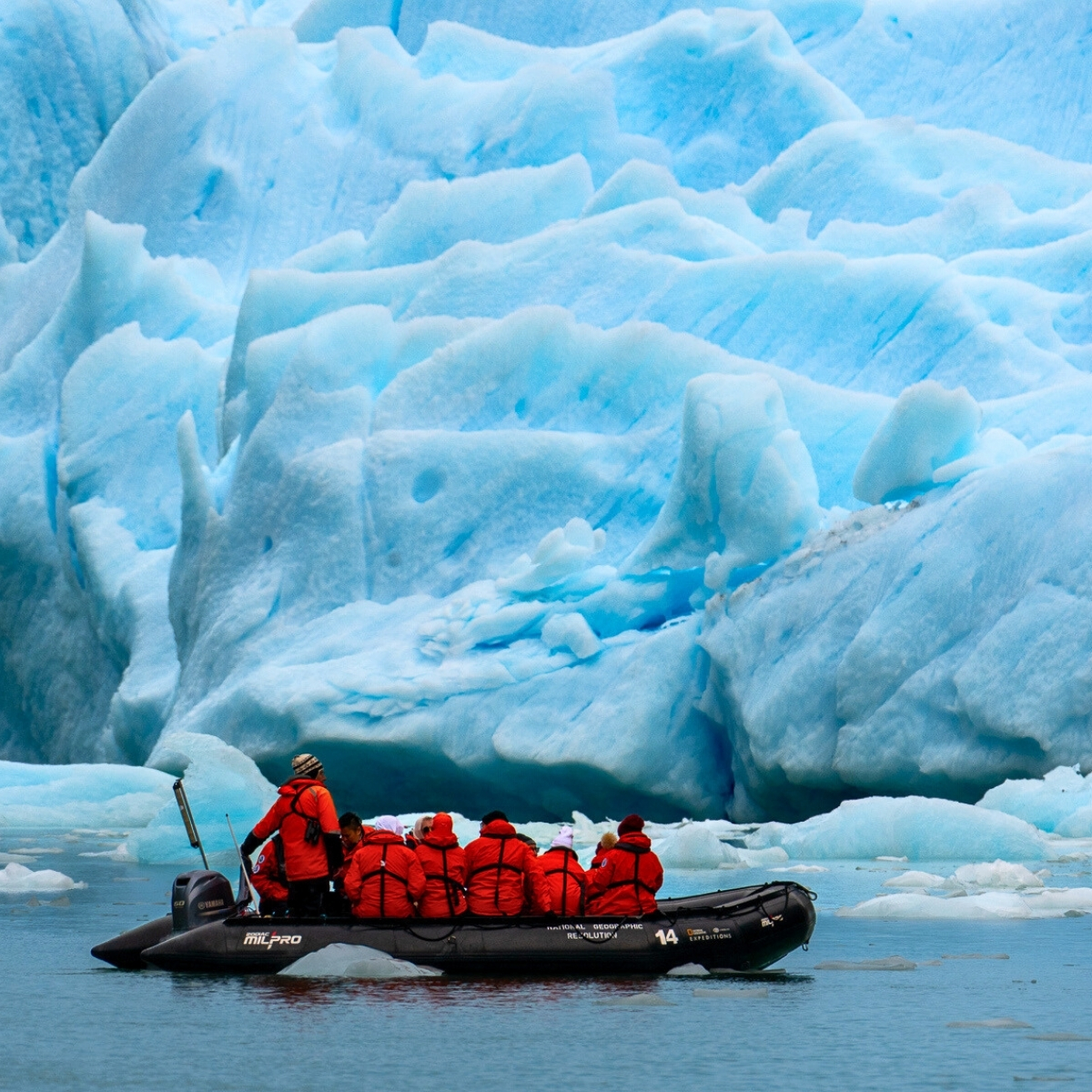 Lindblad Expeditions tweet media