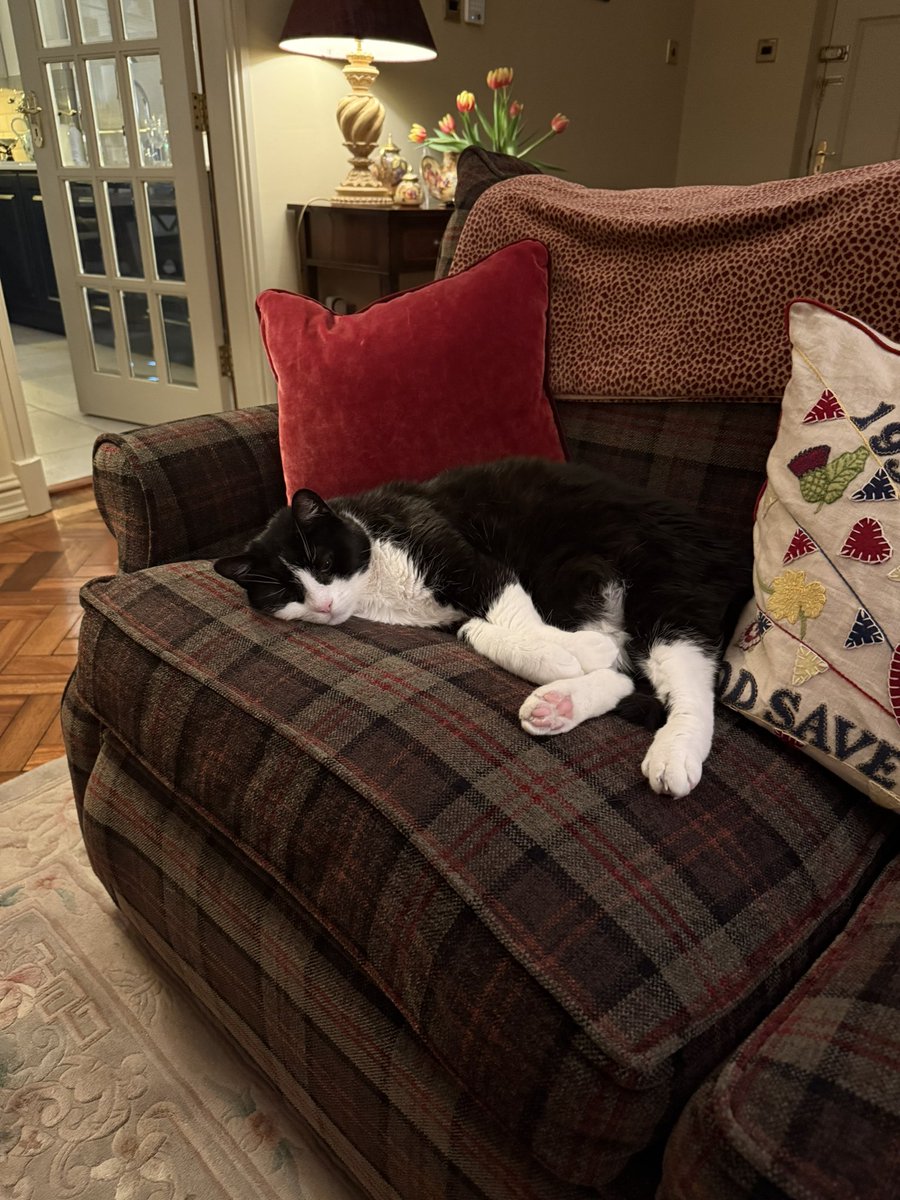 Gerard McDermott KC tweet media