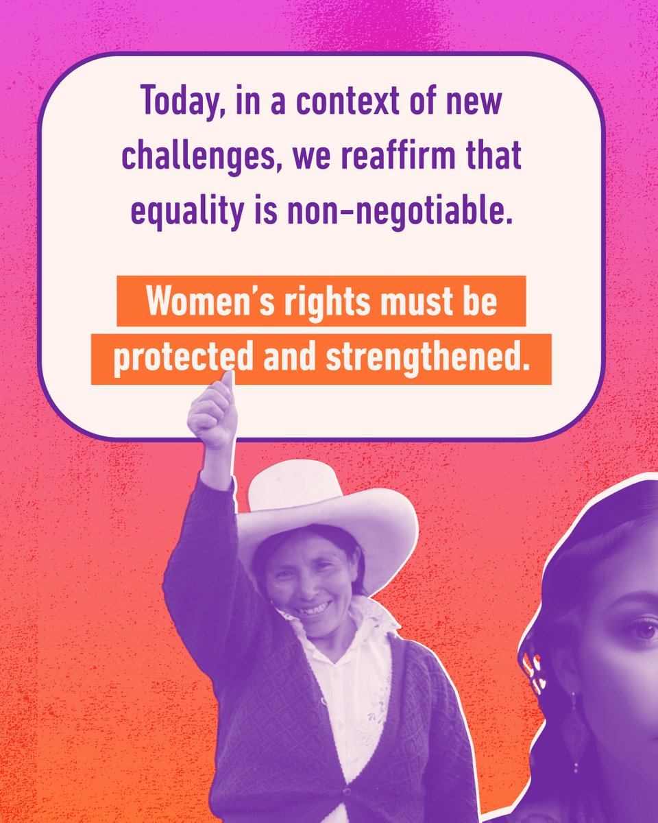 Inter-American Commission of Women (CIM) tweet media