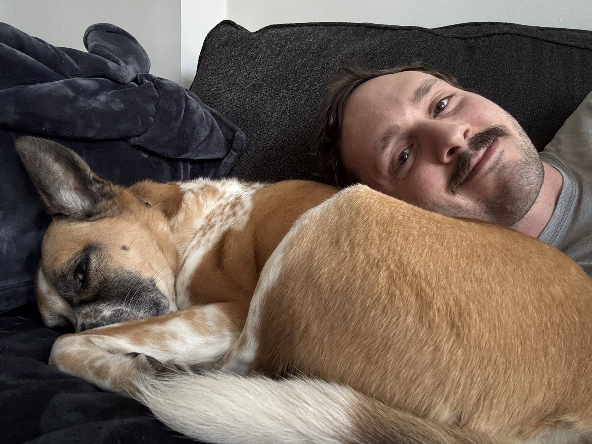 jayteeefff's tweet photo. work from home afternoons means we’re SNUGGLING (he wants me to go away) https://t.co/chlr4XCxna