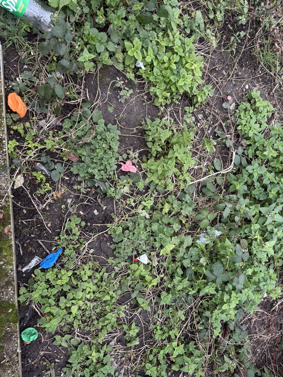 18 February 2026
Only myself picking litter today.