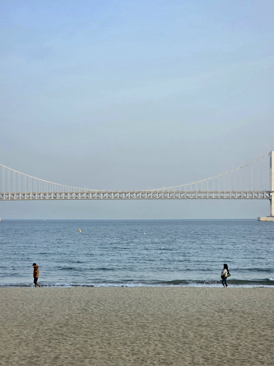 새또🪺 tweet media