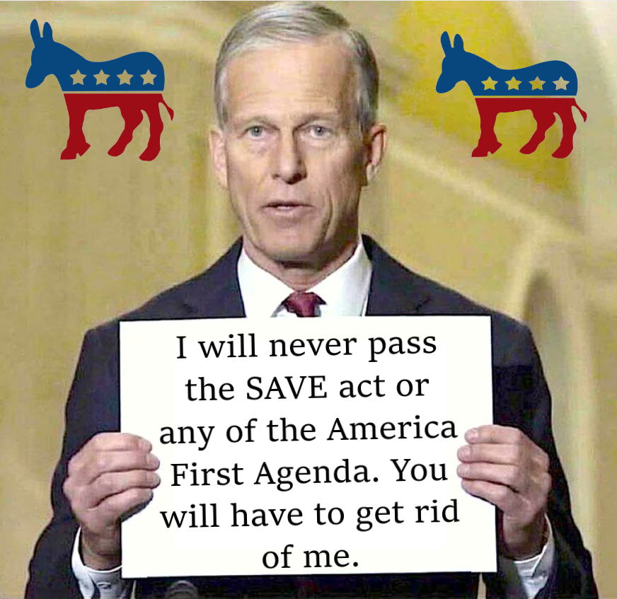 🇺🇸 MAGA 🇺🇸 Kenneth F Crowe tweet media