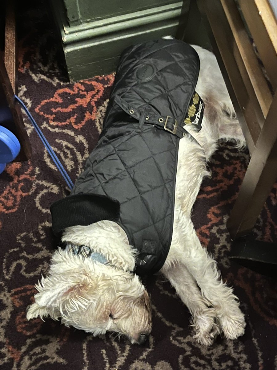 Helen Stevenson tweet media