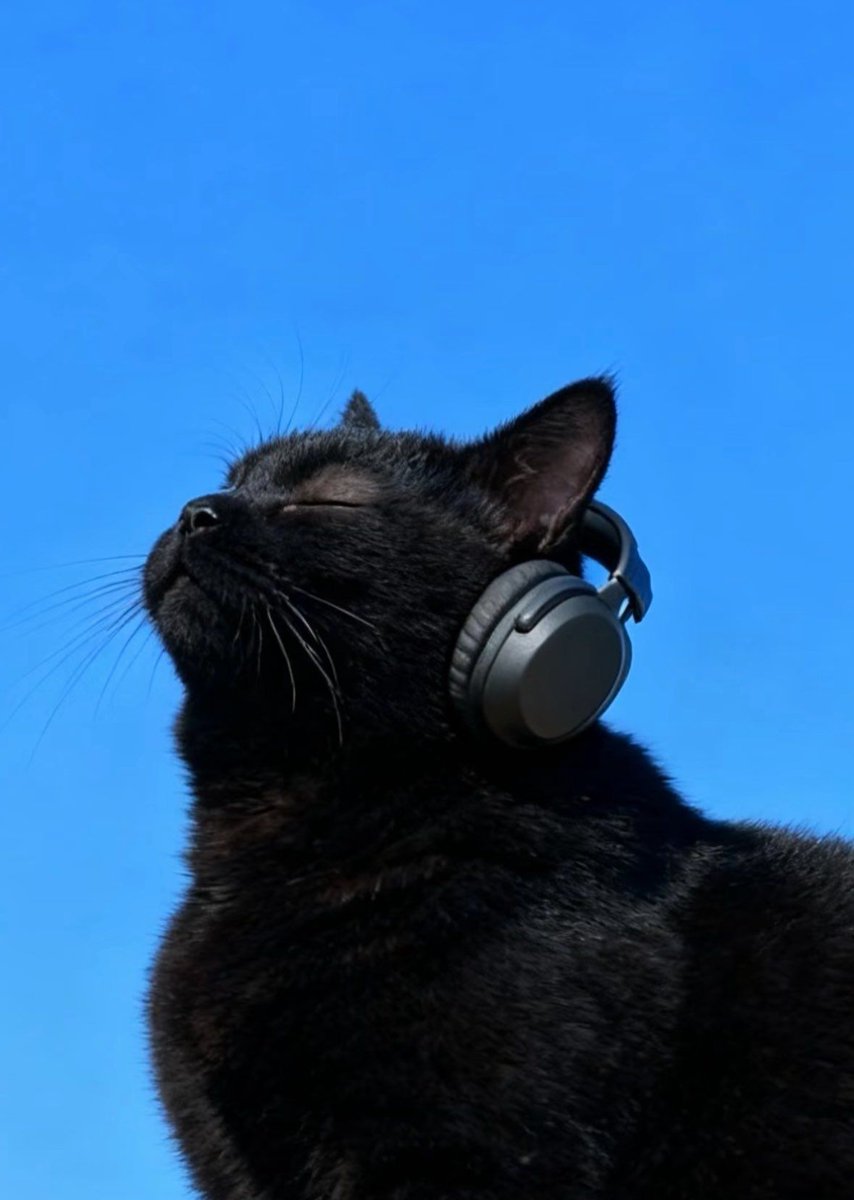 𝖆𝖗𝖙𝖟~𝖓𝖔𝖜 (@artznow_) on Twitter photo 