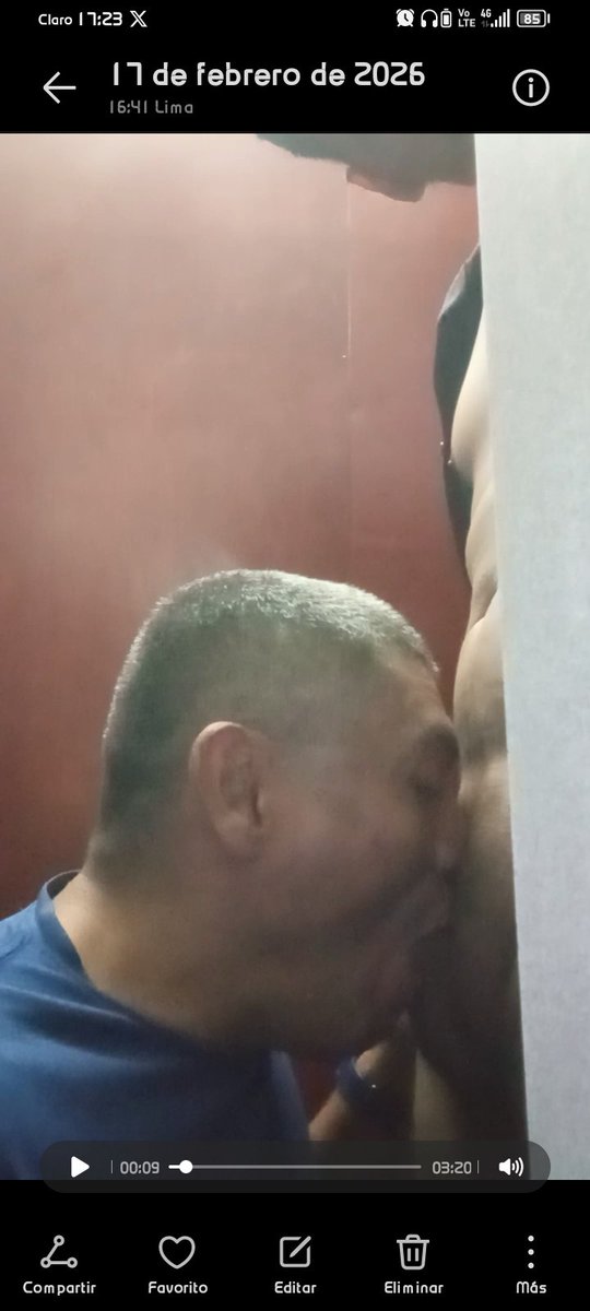 Wolfman1349 tweet media