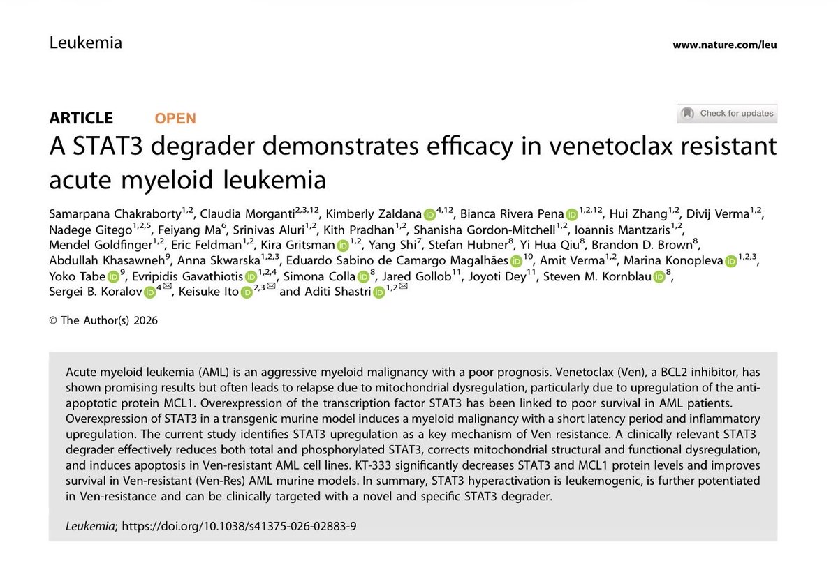 Keisuke_Ito_Lab tweet media