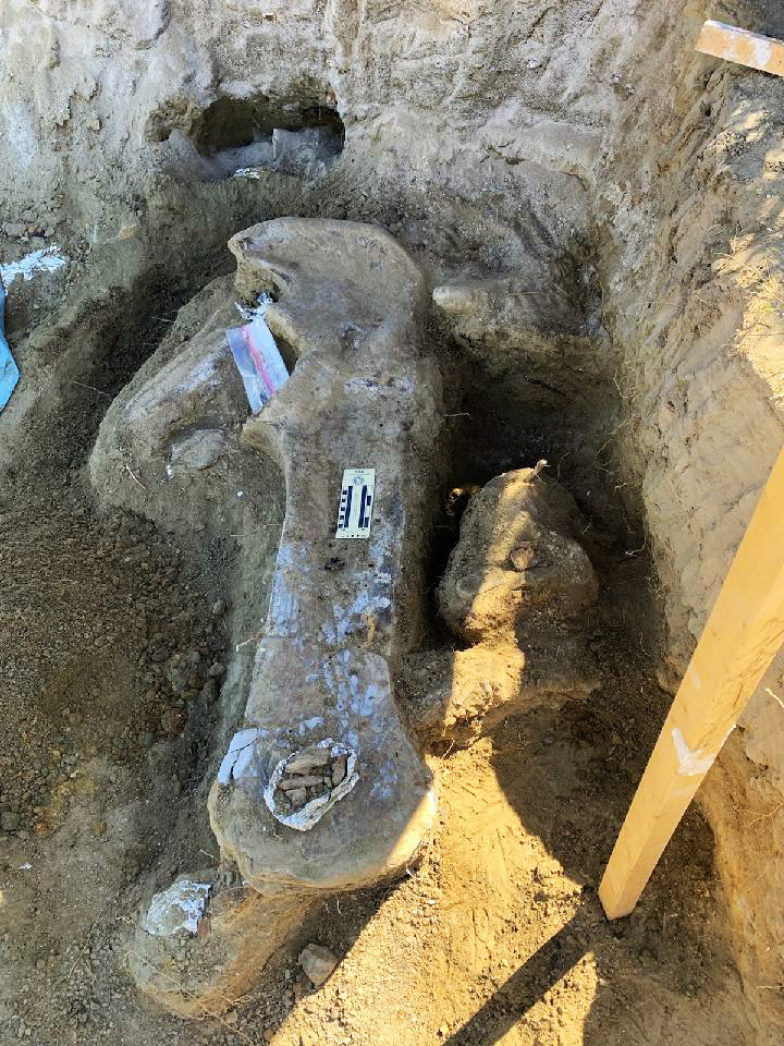 Dakota Prairie Grasslands tweet media