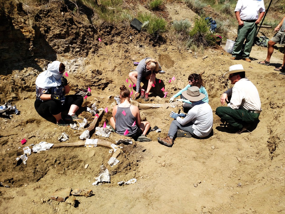 Dakota Prairie Grasslands tweet media