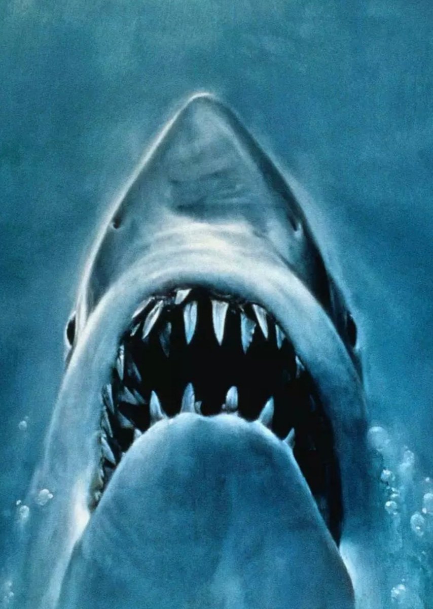 Nigel Gregory tweet media