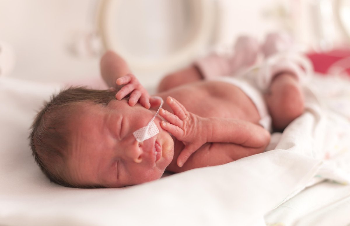 LifeNewsHQ's tweet photo. HORRIBLE: Oregon Democrats Defeat Bill to Care for Babies Who Survive Abortions https://t.co/q382xxkSw7 https://t.co/yVFEwGB42a