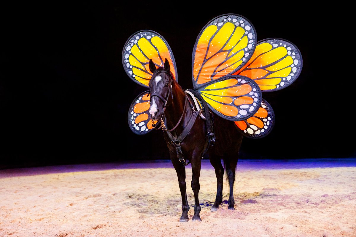 Dolly Parton’s Stampede in Branson is gearing up to deliver heart-pounding action and boot-stomping excitement for the 2026 season!

Purchase your tickets today: dpstampede.com/branson/show-s…

#DollysStampede #DollyStampede #StampedeBranson