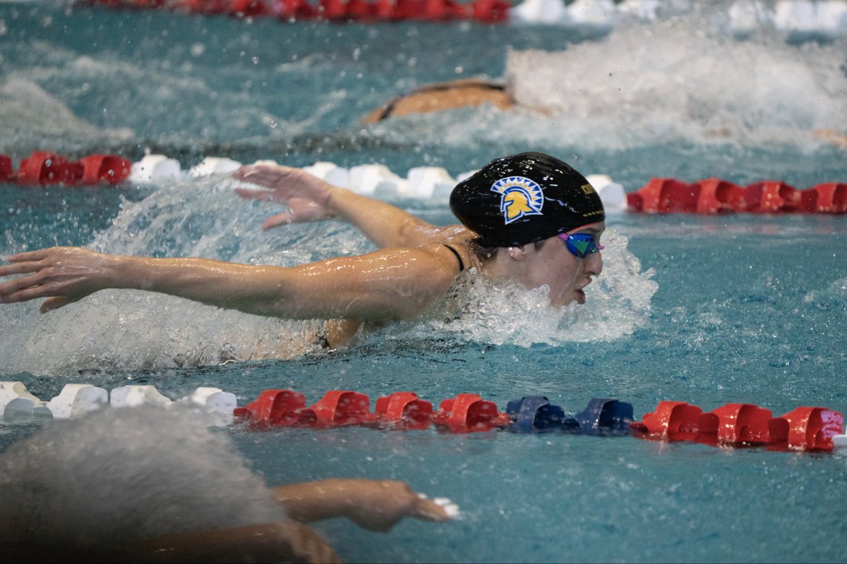 SJSU Swimming&Diving tweet media