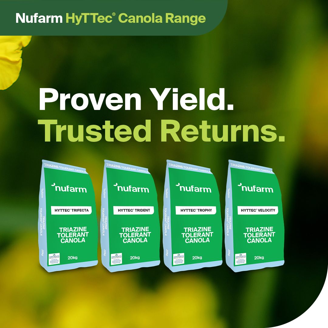 NufarmSeedsAU's tweet image. The HyTTec® hybrid TT range delivers trusted yield across early to mid maturity options, matching canola to paddock potential &amp;amp; seasonal pressure.
✅Built on consistency &amp;amp; reliability &amp;amp; years of paddock performance.
Proven yield. Trusted returns 👉 bit.ly/Nufarm_HyTTec
#Nufarm
