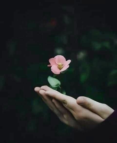 بــوح قـــلَــم tweet media