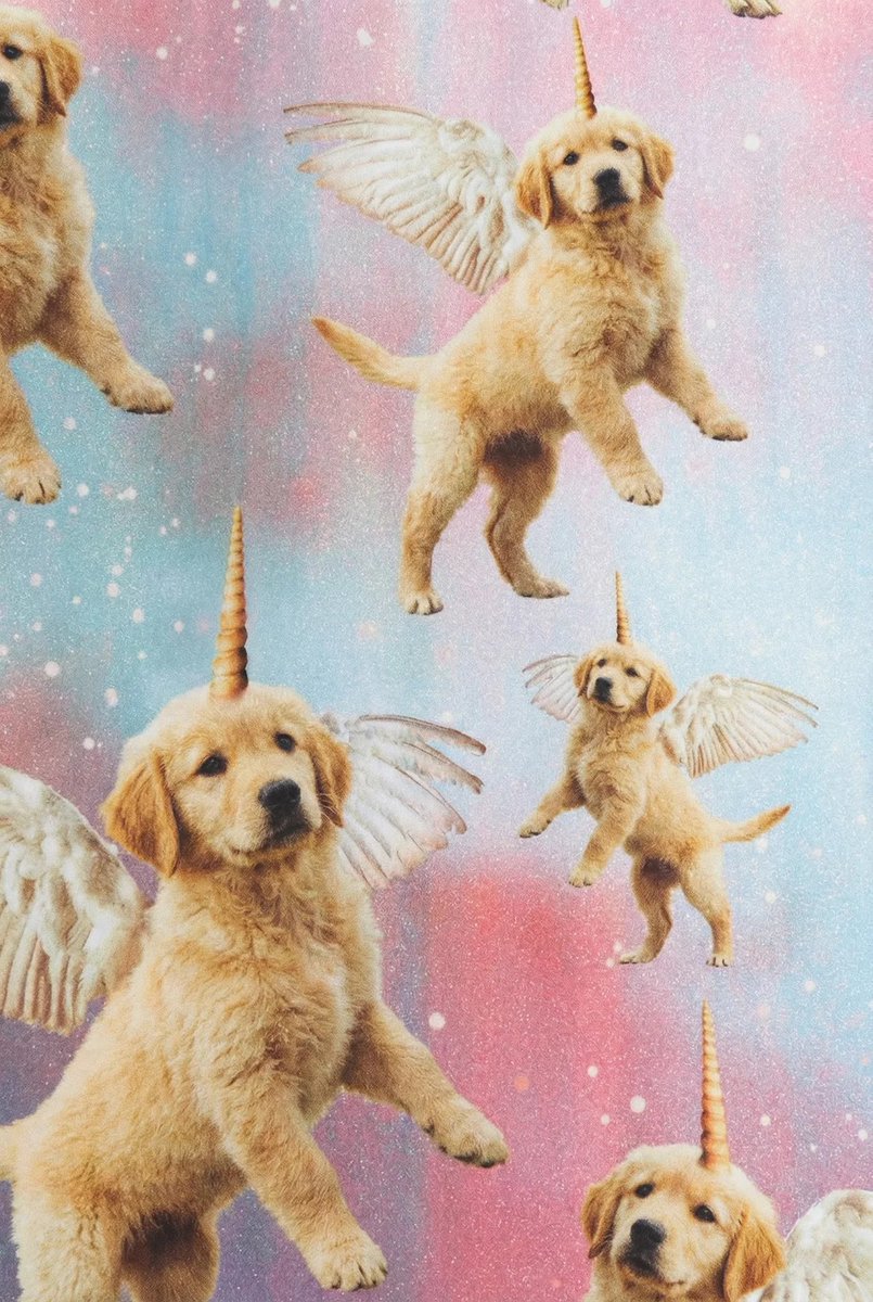 Silver (@silver_ceo) on Twitter photo 