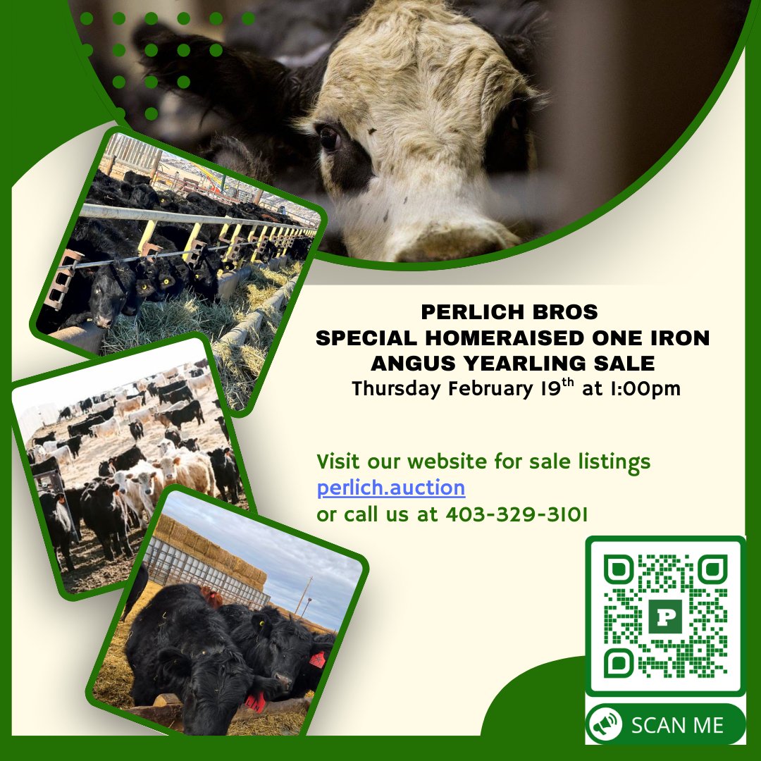 Perlich Bros Auction tweet media