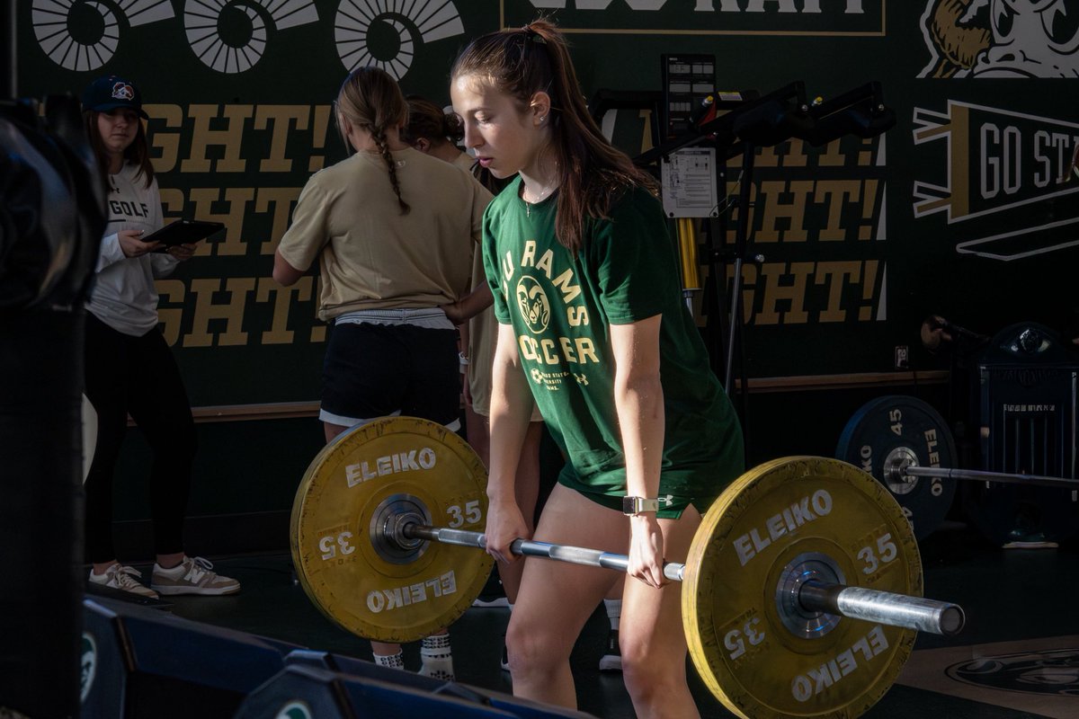 Colorado State Soccer tweet media