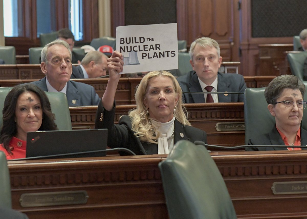 Sue Rezin tweet media